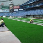 The Trops Turf: Before And After, Plus Bonus Live Cam