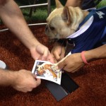This Is What You Missed At Rays FanFest Today
