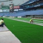 The Trop’s Turf: Before And After, Plus Bonus Live Cam