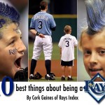 The 10 Best Things About Being A Rays Fan