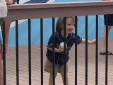 Adorable Rays Fan Was Super-Excited To Get A Wil Myers Foul Ball