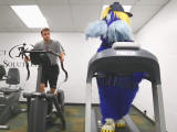 Raymond Goes For A Jog (And A Fall) On A Treadmill