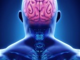 Ways To Treat Brain Injuries